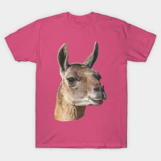 Beautiful head of a Guanaco T-Shirt